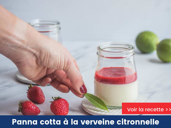 Panna cotta à la verveine citronnelle et coulis de fraises